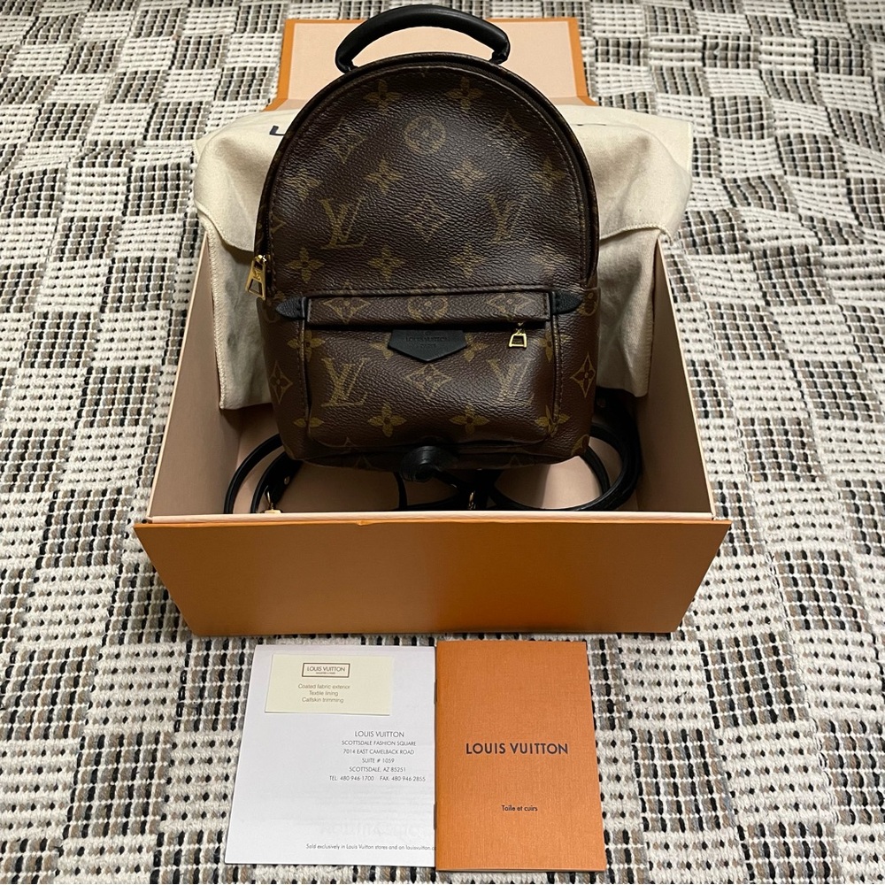 Louis Vuitton Palm Springs Mini Backpack